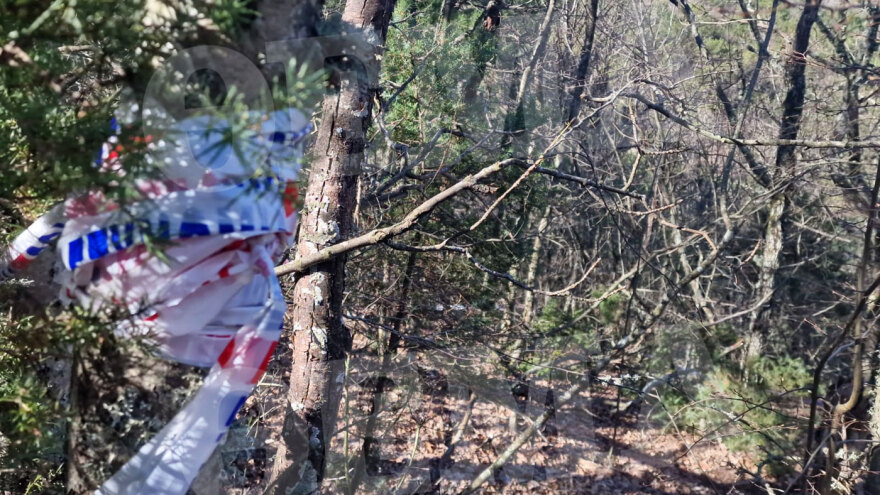 Έβρος: Η χαράδρα που βρέθηκε νεκρή η 28χρονη - «Κανείς δεν πιστεύει ότι αυτοκτόνησε»