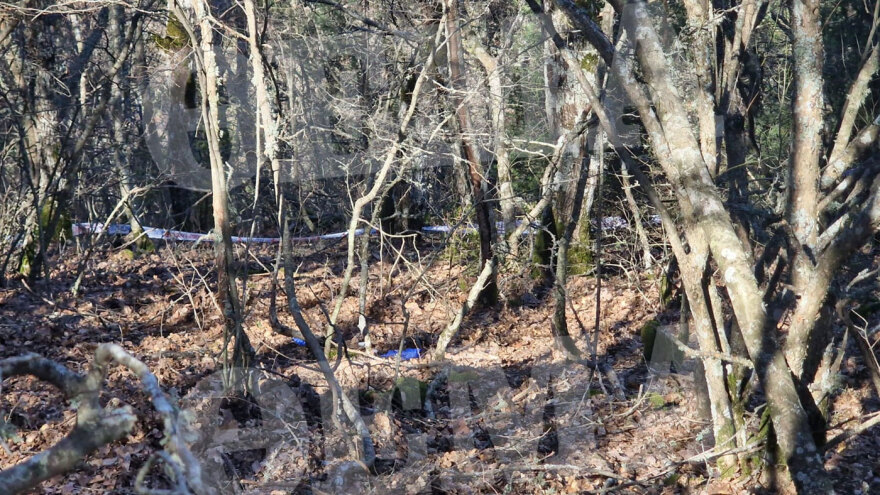 Έβρος: Η χαράδρα που βρέθηκε νεκρή η 28χρονη - «Κανείς δεν πιστεύει ότι αυτοκτόνησε»