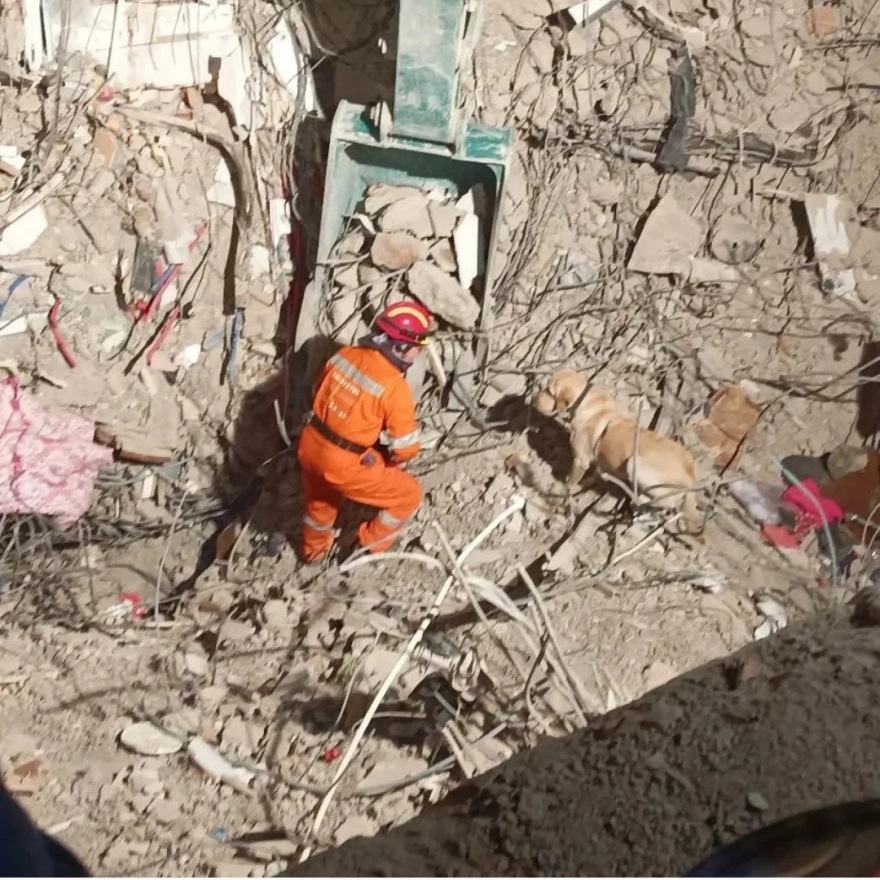 Τα Pet City επιβράβευσαν τη δική τους τετράποδη διασώστρια