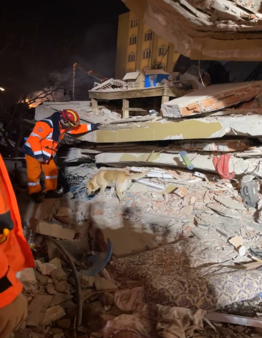 Τα Pet City επιβράβευσαν τη δική τους τετράποδη διασώστρια