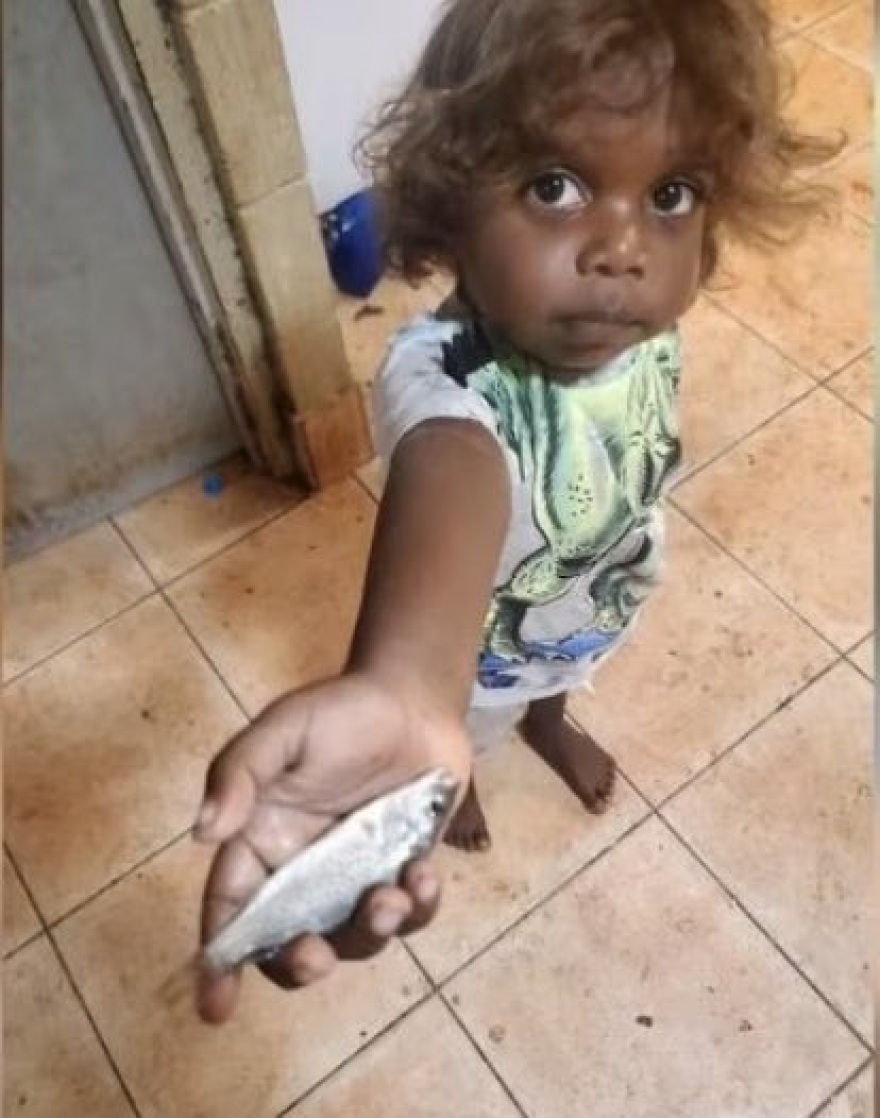 Αυστραλία: Έβρεξε… ψάρια σε πόλη που βρίσκεται εκατοντάδες χιλιόμετρα από την ακτογραμμή 