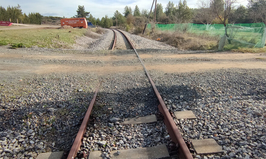 «Φιγούρα» με τα κλοπιμαία έκανε ο... Εσκομπάρ των Ρομά στο TikTok - Έδινε στον σκύλο του και χρυσές λίρες!