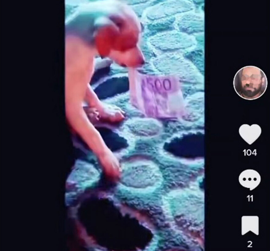 «Φιγούρα» με τα κλοπιμαία έκανε ο... Εσκομπάρ των Ρομά στο TikTok - Έδινε στον σκύλο του και χρυσές λίρες!