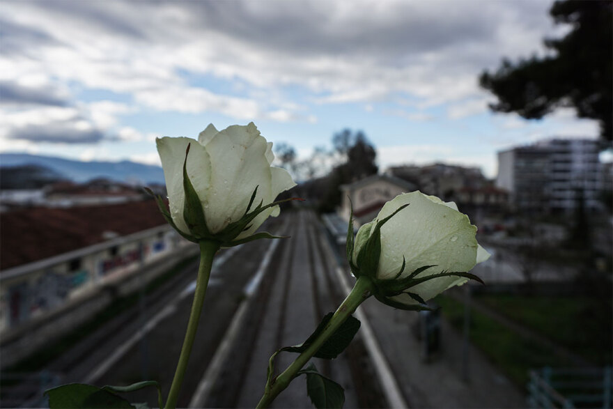 Σύγκρουση τρένων στα Τέμπη: Σοκ στις οικογένειες που διαλύθηκαν από το δυστύχημα στα Τέμπη