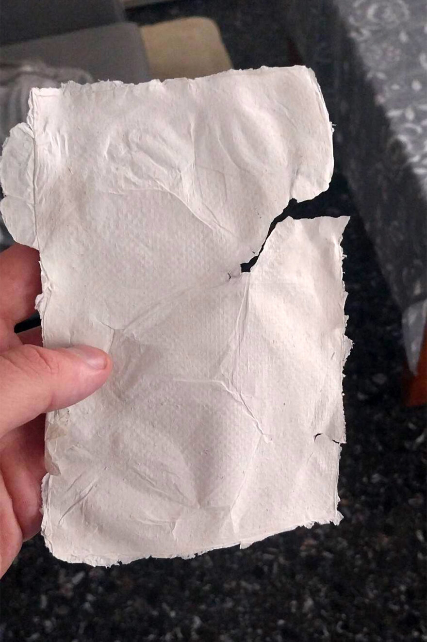 Χαρτί από βακτήρια δημιούργησαν Έλληνες επιστήμονες - Πώς πέτυχαν το στόχο τους 