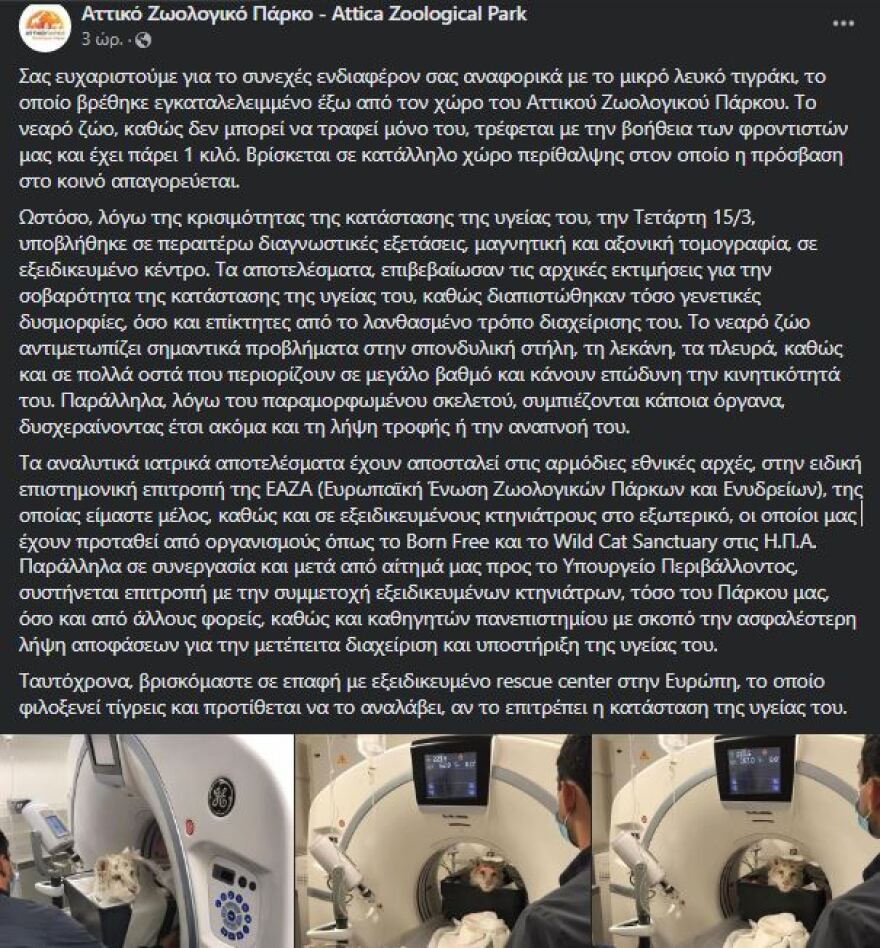 Η απόφαση για ευθανασία στο λευκό τιγράκι εξόργισε τα ζωοφιλικά σωματεία 