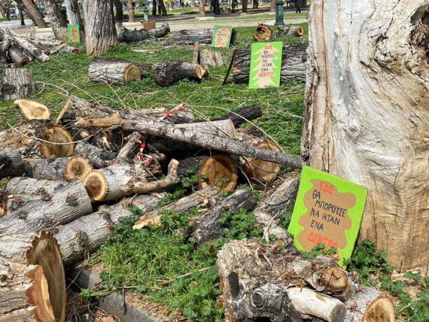 Θεσσαλονίκη: Οικολόγοι διαμαρτύρονται για τις κοπές δέντρων - «Το πράσινο τετέλεσται» (φωτογραφίες)