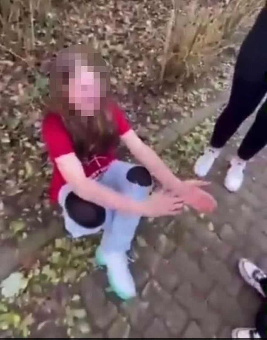 Γερμανία: Μετά τη δολοφονία της 12χρονης Λουίζε ανήλικες βασάνισαν συμμαθήτριά τους