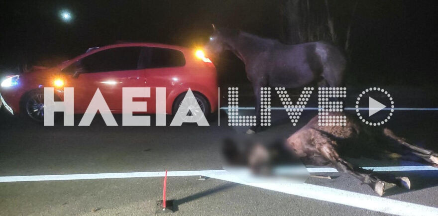 Πύργος: Σοβαρό τροχαίο με θύμα ένα άλογο