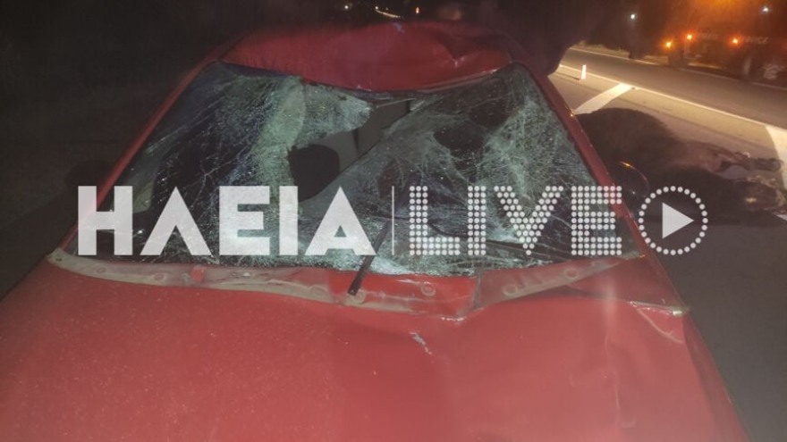 Πύργος: Σοβαρό τροχαίο με θύμα ένα άλογο