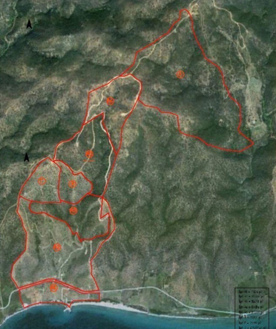 Δημήτρης Κοντομηνάς: Αλλάζει χέρια το μυθικό κτήμα του στην Αργολίδα