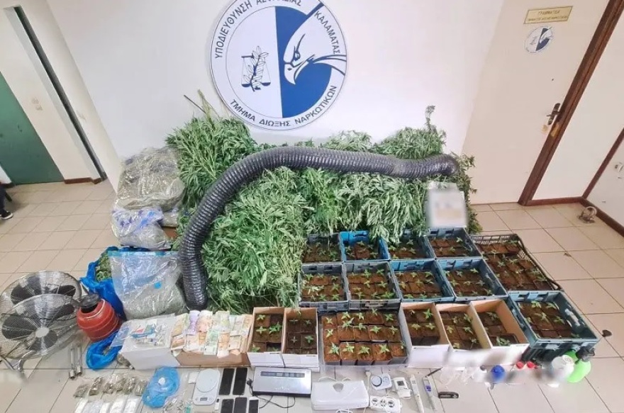 Καλλιεργούσαν και διακινούσαν skunk, κοκαΐνη και αναβολικά αξίας 350.000 ευρώ - Δείτε φωτογραφίες