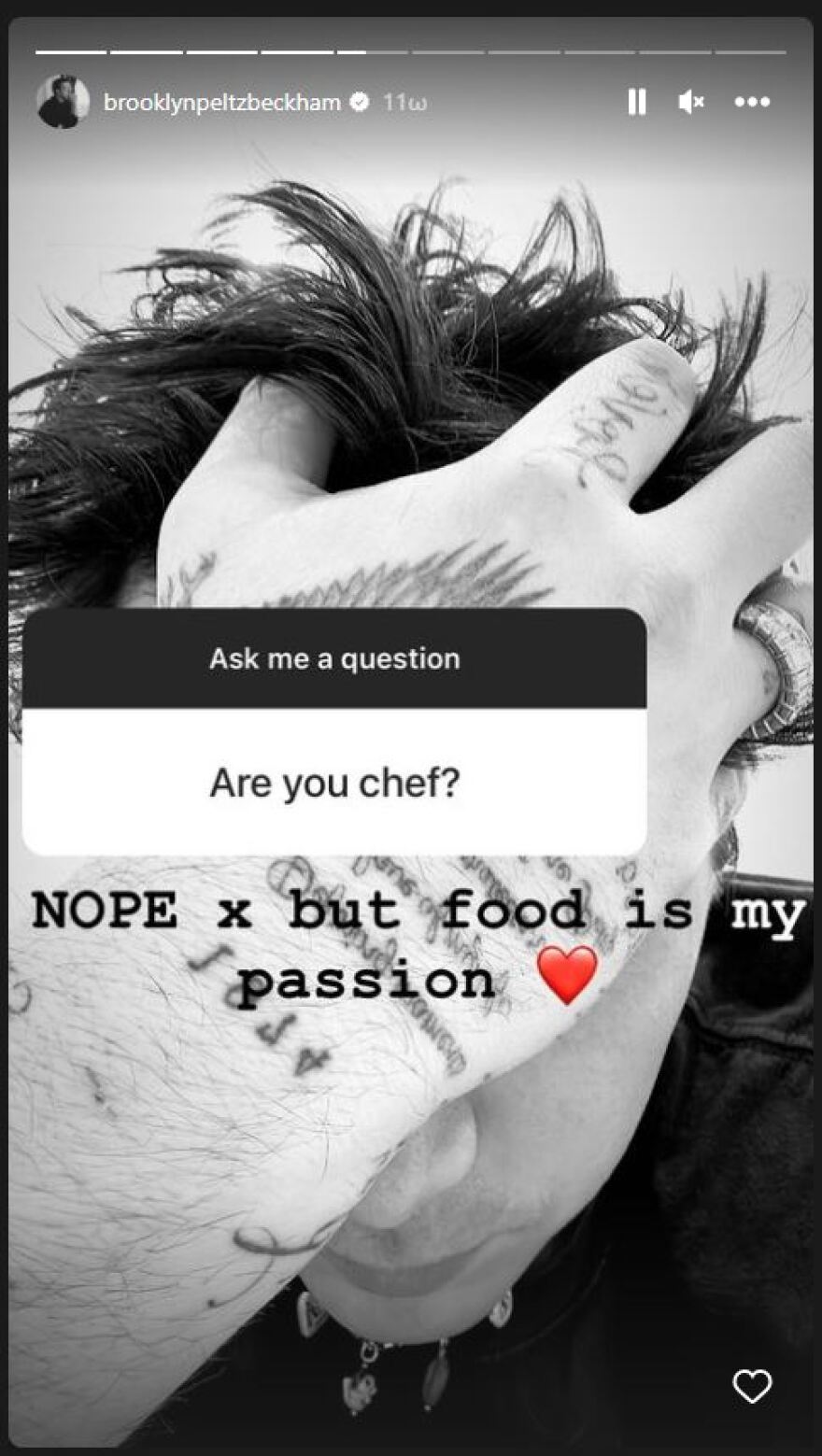 Μπρούκλιν Μπέκαμ: Μαγείρεψε σπαγγέτι μπολονέζ με φελλό και το κουτάβι του αγκαλιά