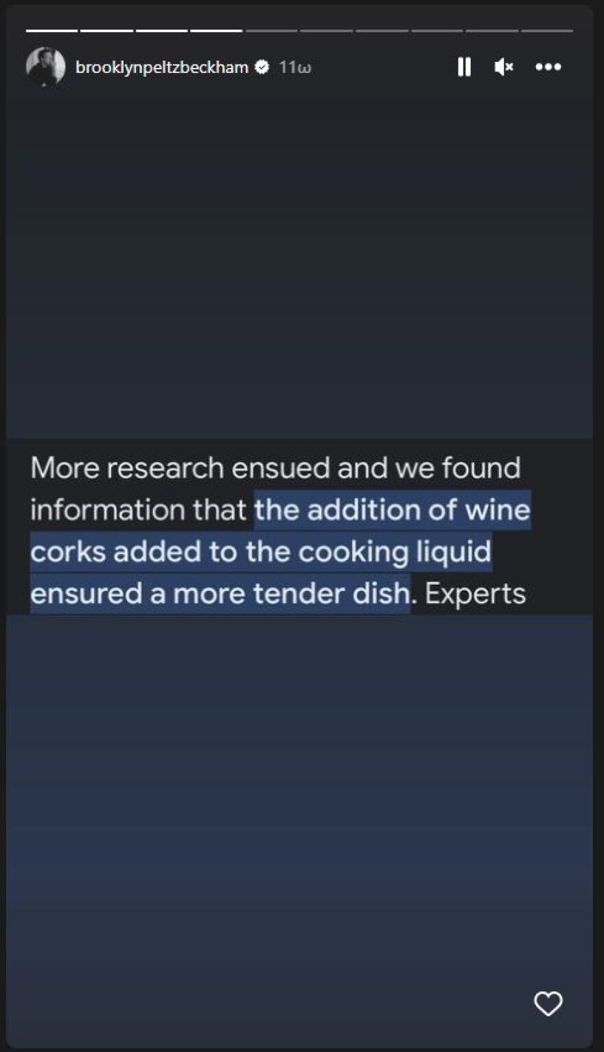 Μπρούκλιν Μπέκαμ: Μαγείρεψε σπαγγέτι μπολονέζ με φελλό και το κουτάβι του αγκαλιά