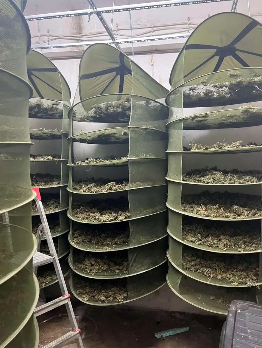 Εργαστήριο-φυτώριο κάνναβης εντόπισε η ΕΛΑΣ στου Ρέντη - Τρεις συλλήψεις (Φωτογραφίες)