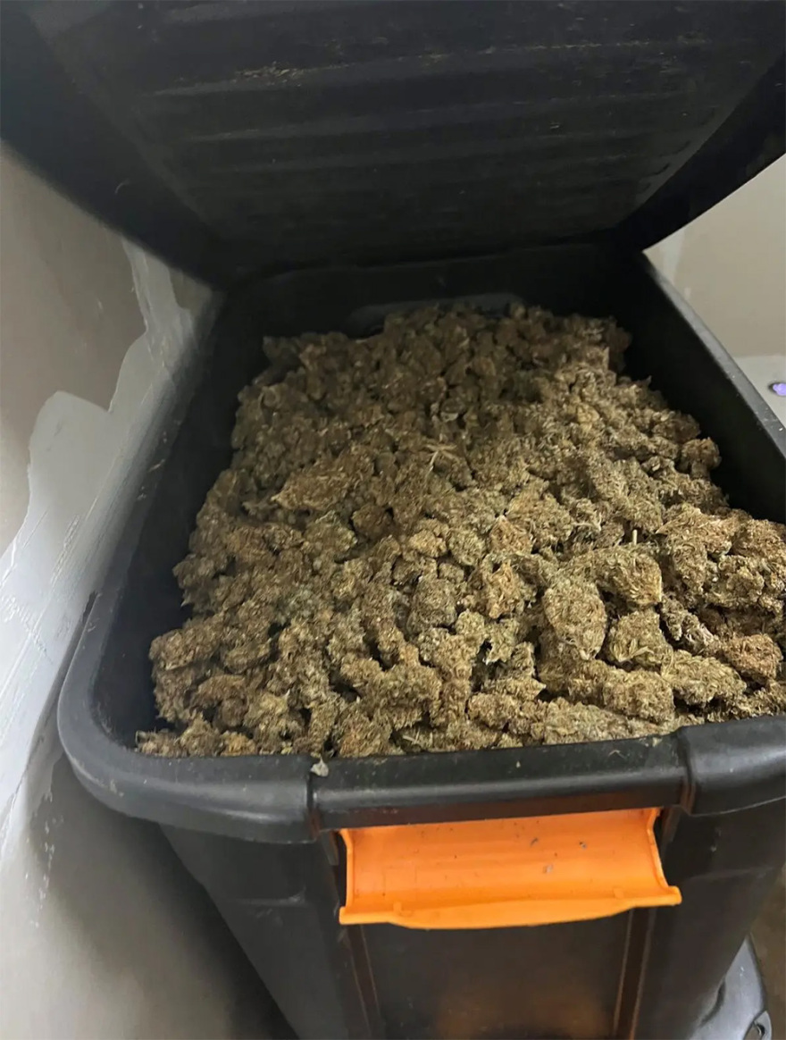 Εργαστήριο-φυτώριο κάνναβης εντόπισε η ΕΛΑΣ στου Ρέντη - Τρεις συλλήψεις (Φωτογραφίες)