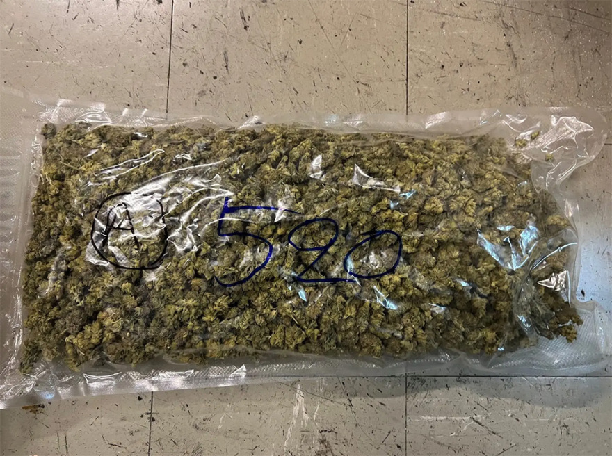 Εργαστήριο-φυτώριο κάνναβης εντόπισε η ΕΛΑΣ στου Ρέντη - Τρεις συλλήψεις (Φωτογραφίες)