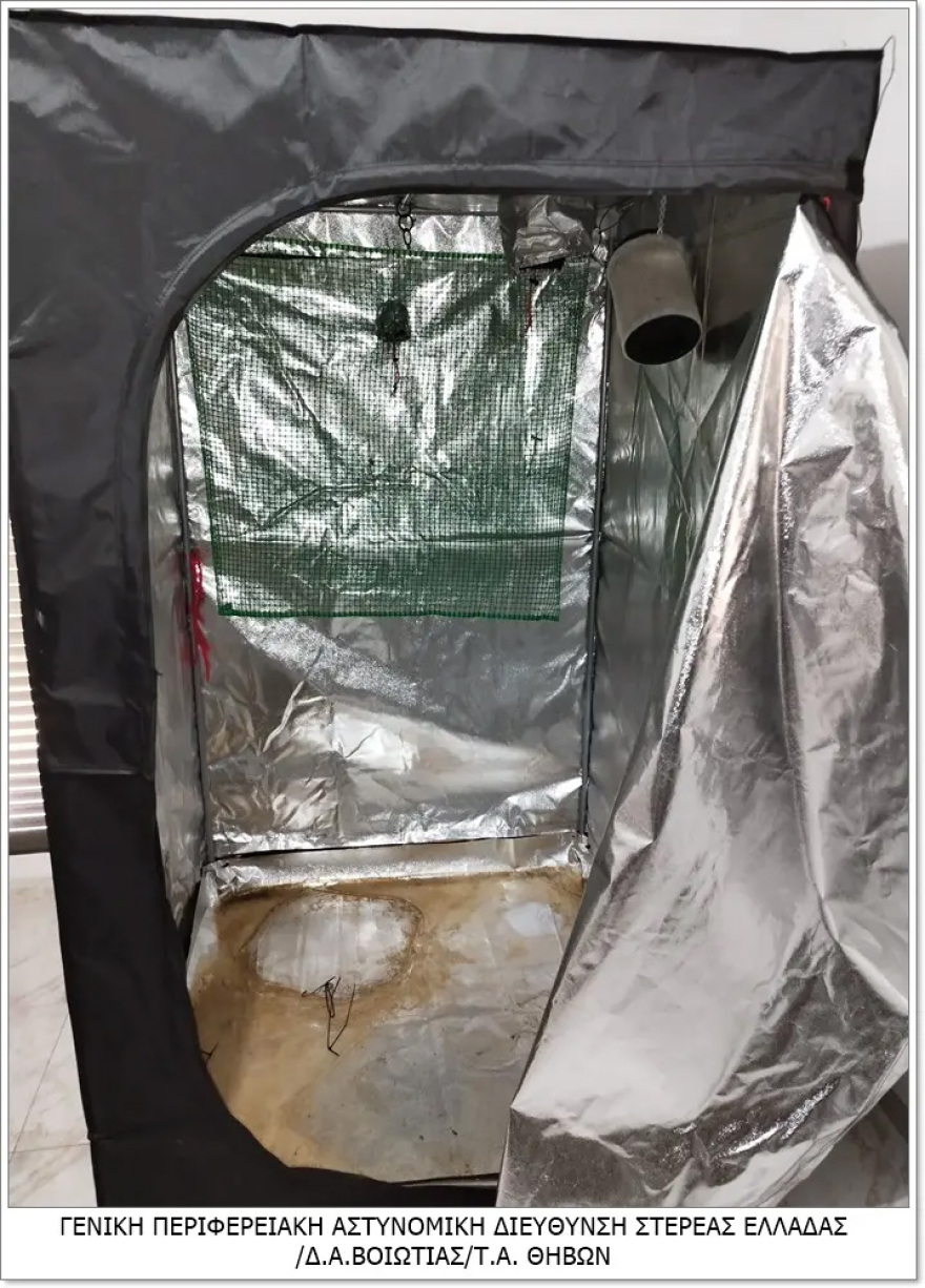 Θήβα: Καλλιεργούσε κάνναβη μέσα στην ντουλάπα της αποθήκης του