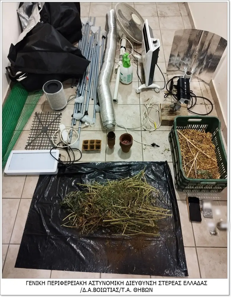 Θήβα: Καλλιεργούσε κάνναβη μέσα στην ντουλάπα της αποθήκης του