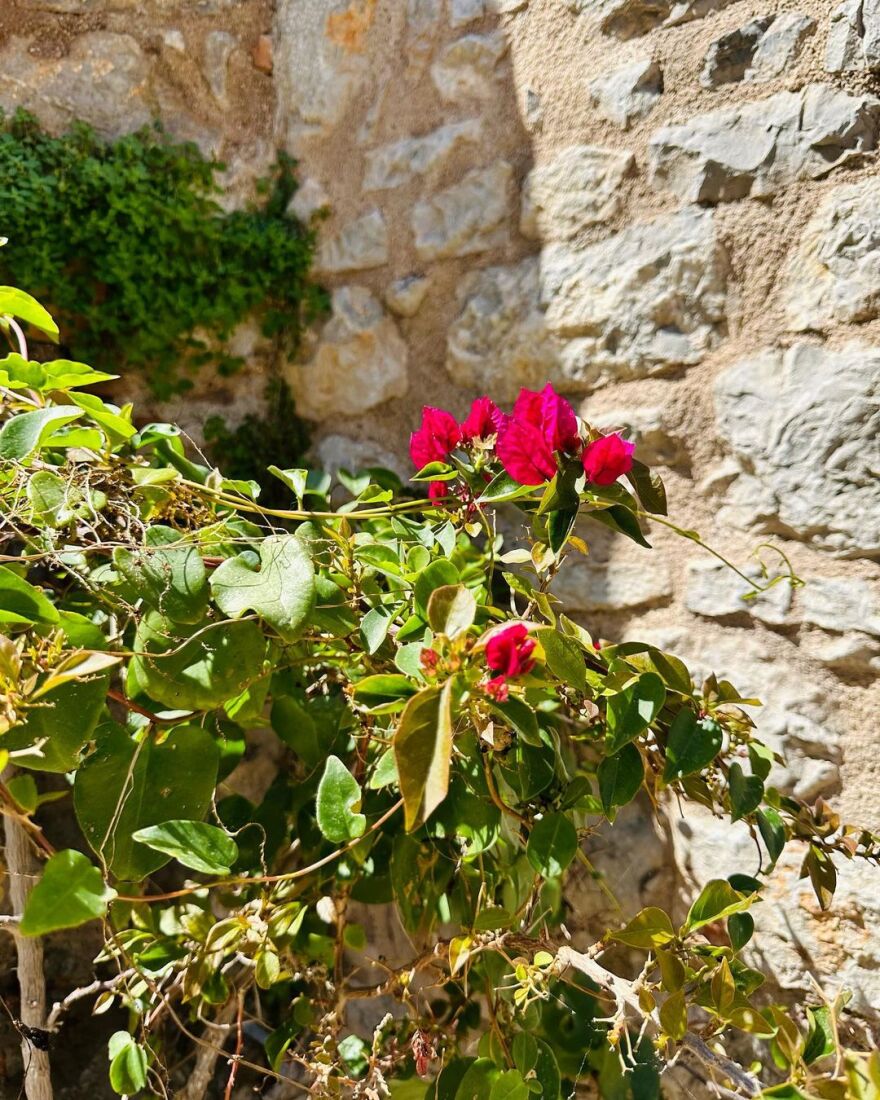 Δούκισσα Νομικού: Φέρνει το καλοκαίρι από την Ύδρα - Δείτε φωτογραφίες