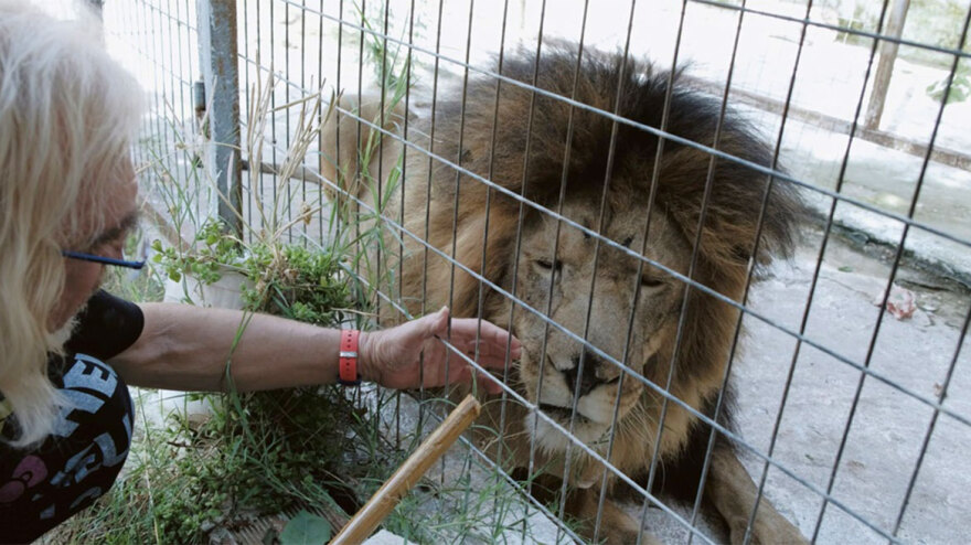Χαλκιδική - Ο «Έλληνας Κόπερφιλντ»: Η άγνωστη ιστορία του «ξανθού μάγου» που κατηγορείται για βιασμό