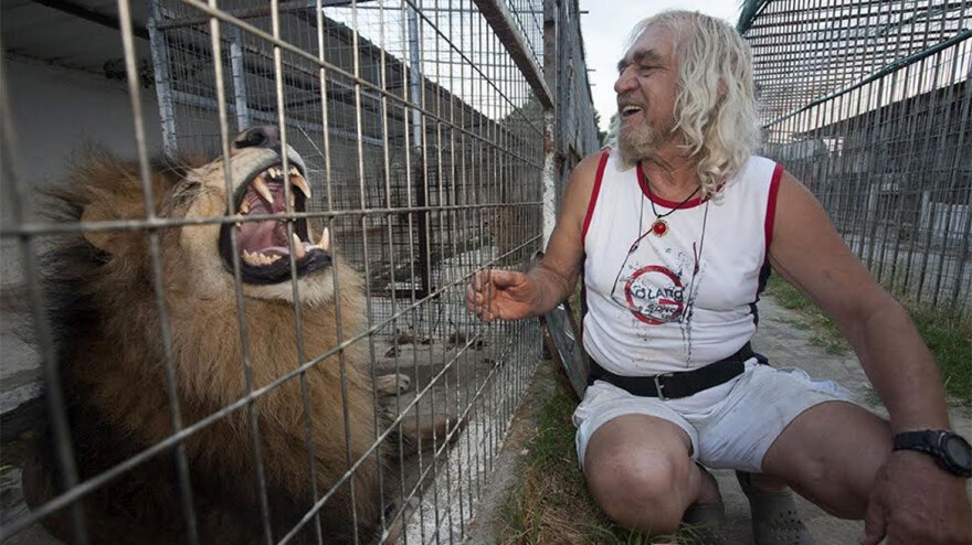 Χαλκιδική - Ο «Έλληνας Κόπερφιλντ»: Η άγνωστη ιστορία του «ξανθού μάγου» που κατηγορείται για βιασμό