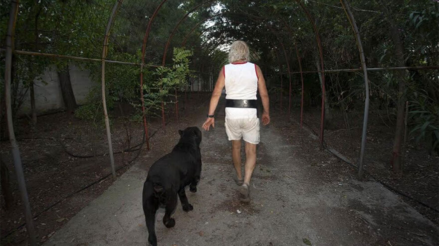 Χαλκιδική - Ο «Έλληνας Κόπερφιλντ»: Η άγνωστη ιστορία του «ξανθού μάγου» που κατηγορείται για βιασμό