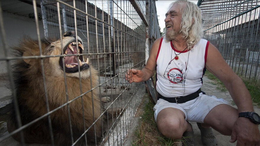 Χαλκιδική - Ο «Έλληνας Κόπερφιλντ»: Η άγνωστη ιστορία του «ξανθού μάγου» που κατηγορείται για βιασμό