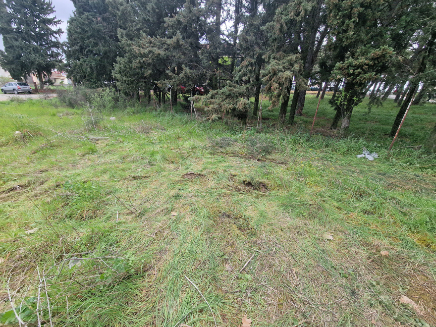 Θεσσαλονίκη: Εξ επαφής πυροβολήθηκε στο κεφάλι η γυναίκα που εντοπίστηκε νεκρή σε αυτοκίνητο