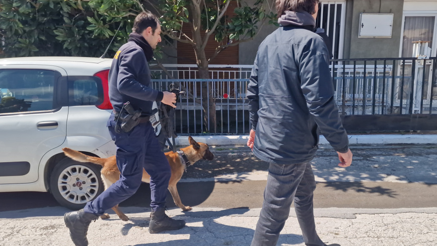 Θεσσαλονίκη: Εκπαιδευμένος σκύλος στο σπίτι του 34χρονου μητροκτόνου - Επεκτείνονται οι έρευνες της ΕΛ.ΑΣ.