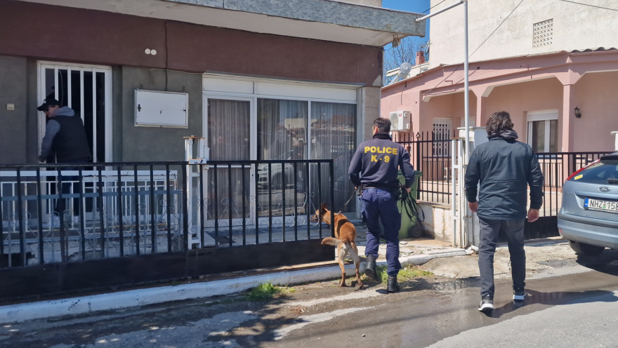 Θεσσαλονίκη: Εκπαιδευμένος σκύλος στο σπίτι του 34χρονου μητροκτόνου - Επεκτείνονται οι έρευνες της ΕΛ.ΑΣ.