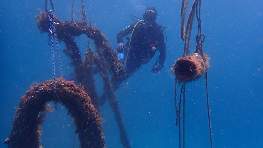 Beach Cleaning: Η ομάδα των εθελοντών-φοιτητών που έχουν συλλέξει 18.506 πλαστικά από τις παραλίες