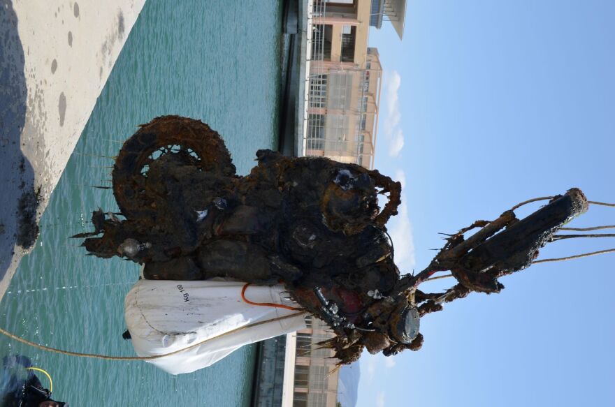 Beach Cleaning: Η ομάδα των εθελοντών-φοιτητών που έχουν συλλέξει 18.506 πλαστικά από τις παραλίες