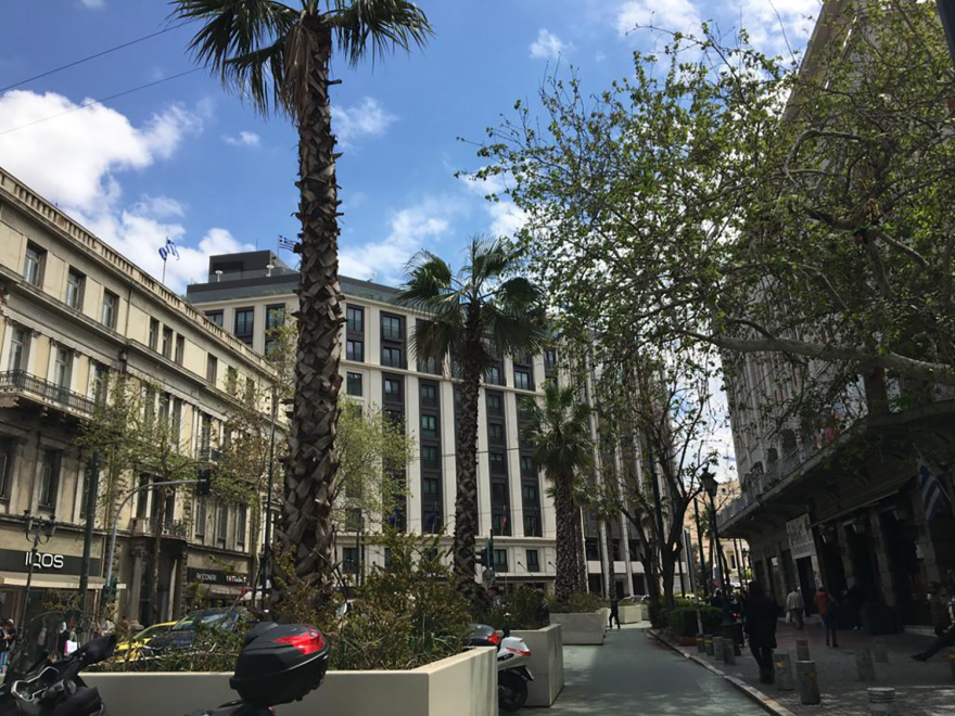 Μεγάλος Περίπατος: Μεγαλοβδομαδιάτικη ταλαιπωρία - «Μετακομίζουν» οι φοίνικες από την Πανεπιστημίου (Βίντεο και φωτογραφίες) 