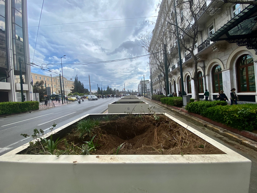 Μεγάλος Περίπατος: Μεγαλοβδομαδιάτικη ταλαιπωρία - «Μετακομίζουν» οι φοίνικες από την Πανεπιστημίου (Βίντεο και φωτογραφίες) 