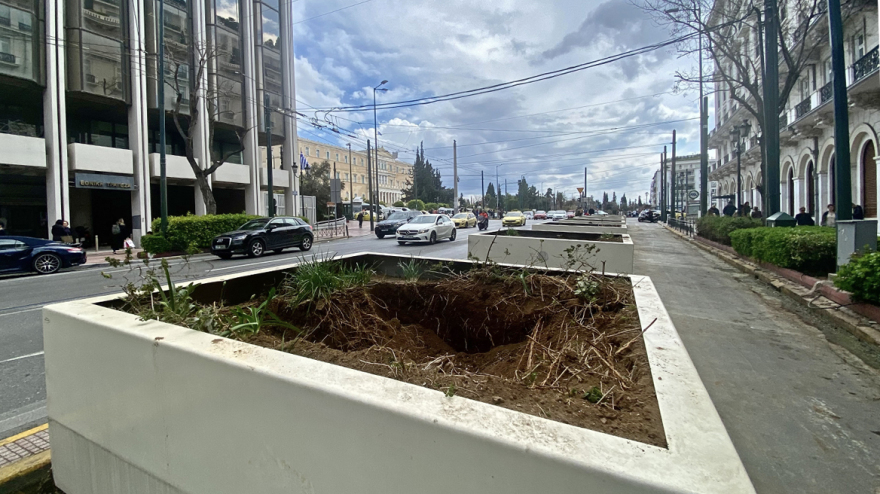 Μεγάλος Περίπατος: Μεγαλοβδομαδιάτικη ταλαιπωρία - «Μετακομίζουν» οι φοίνικες από την Πανεπιστημίου (Βίντεο και φωτογραφίες) 