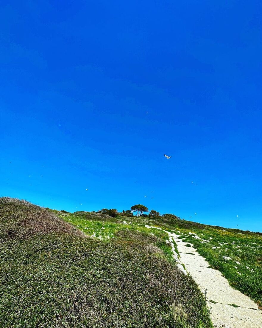 Maestro 2: Ο Χριστόφορος Παπακαλιάτης ανάρτησε νέες φωτογραφίες από τα γυρίσματα