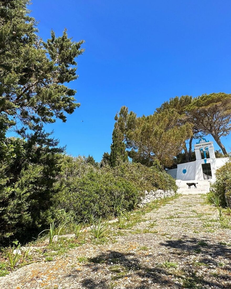 Maestro 2: Ο Χριστόφορος Παπακαλιάτης ανάρτησε νέες φωτογραφίες από τα γυρίσματα