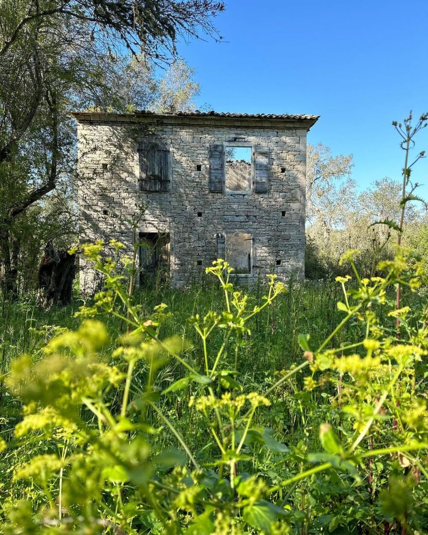 Maestro 2: Ο Χριστόφορος Παπακαλιάτης ανάρτησε νέες φωτογραφίες από τα γυρίσματα