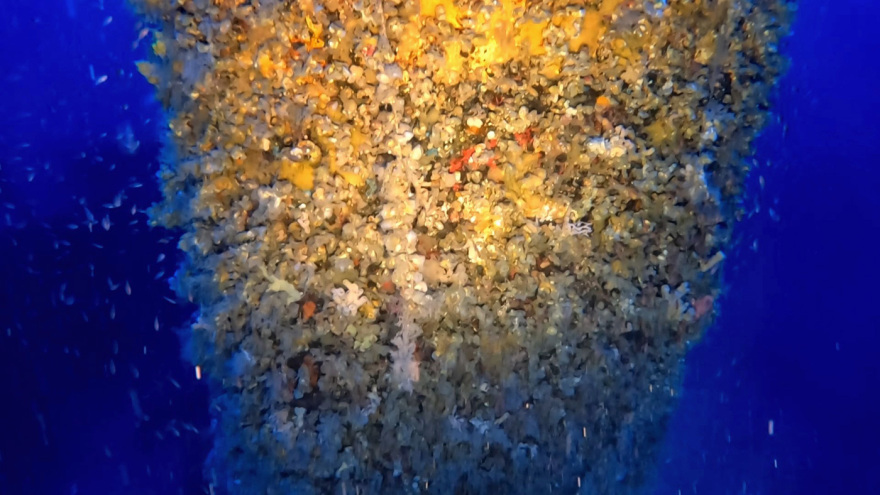 Το ναυάγιο του «Χρυσή Αυγή»  εντοπίστηκε στο Κάβο Ντόρο – Η τραγική ιστορία του πλοίου