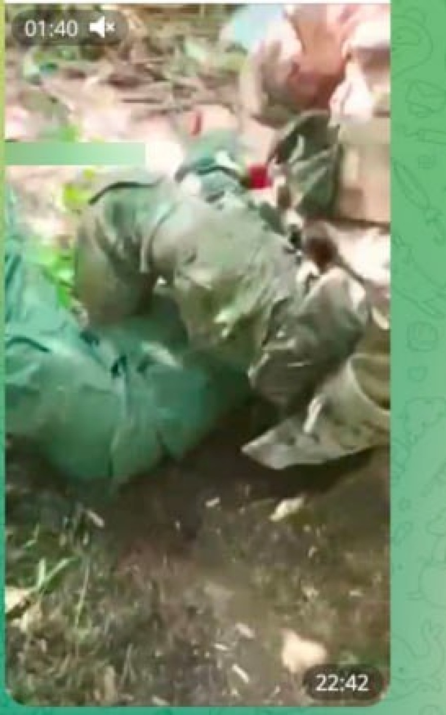 Πόλεμος στην Ουκρανία: Ο Ζελένσκι εκφράζει αποτροπιασμό για τα βίντεο με αποκεφαλισμένους στρατιώτες