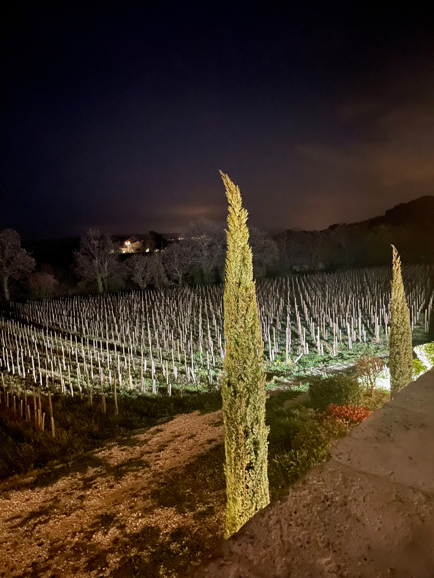 Οι αμπελώνες του Πάπα παράγουν τα πιο διάσημα κρασιά στην κοιλάδα του Ροδανού