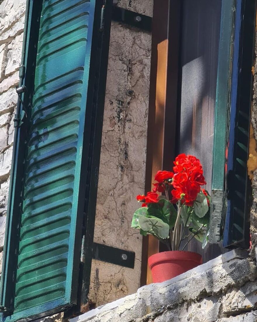 Ευρυδίκη και Μπομπ Κατσιώνης ζουν τον έρωτά τους στα Ζαγοροχώρια