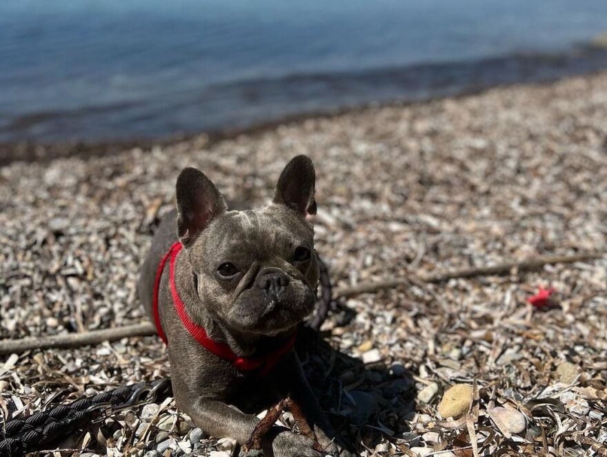 Δανάη Μπάρκα: Έκανε το πρώτο της μπάνιο στη θάλασσα - Δείτε φωτογραφίες