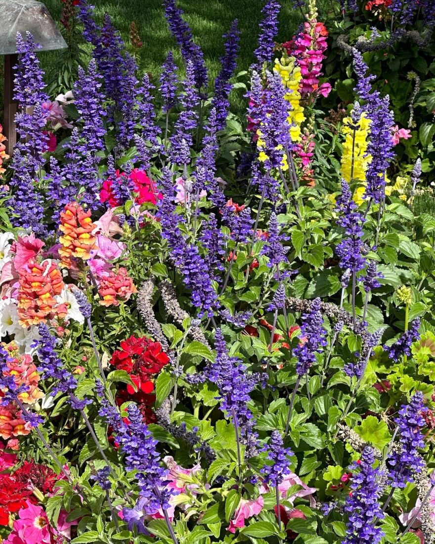 Χέιλι Μπίμπερ: Με μπικίνι στο Instagram