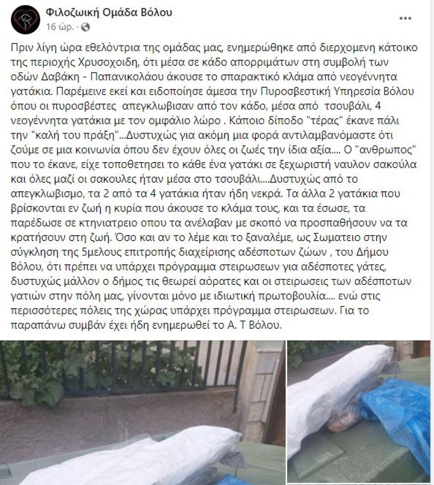 Βόλος: Έβαλαν νεογέννητα γατάκια σε τσουβάλι και τα πέταξαν σε κάδο απορριμμάτων