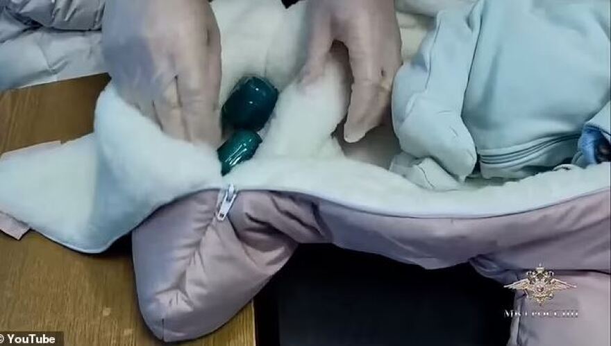 Ρωσία: Γυναίκα «έντυσε» τη γάτα της μωρό για να περάσει ναρκωτικά - Δείτε βίντεο