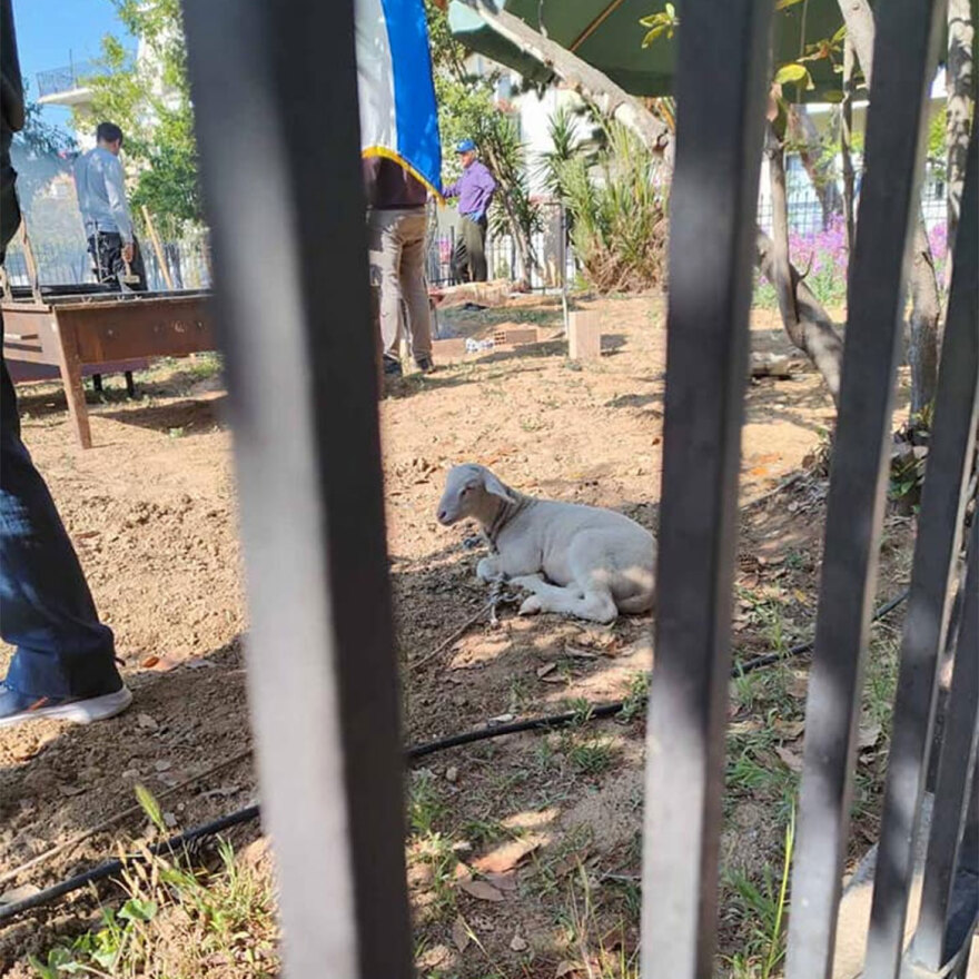 Κερατσίνι: Πήγαν αρνάκι για σφαγή σε εκκλησία - Έστησαν ψησταριές και άναψαν φωτιές (βίντεο)