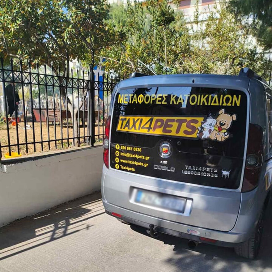 Κερατσίνι: Πήγαν αρνάκι για σφαγή σε εκκλησία - Έστησαν ψησταριές και άναψαν φωτιές (βίντεο)