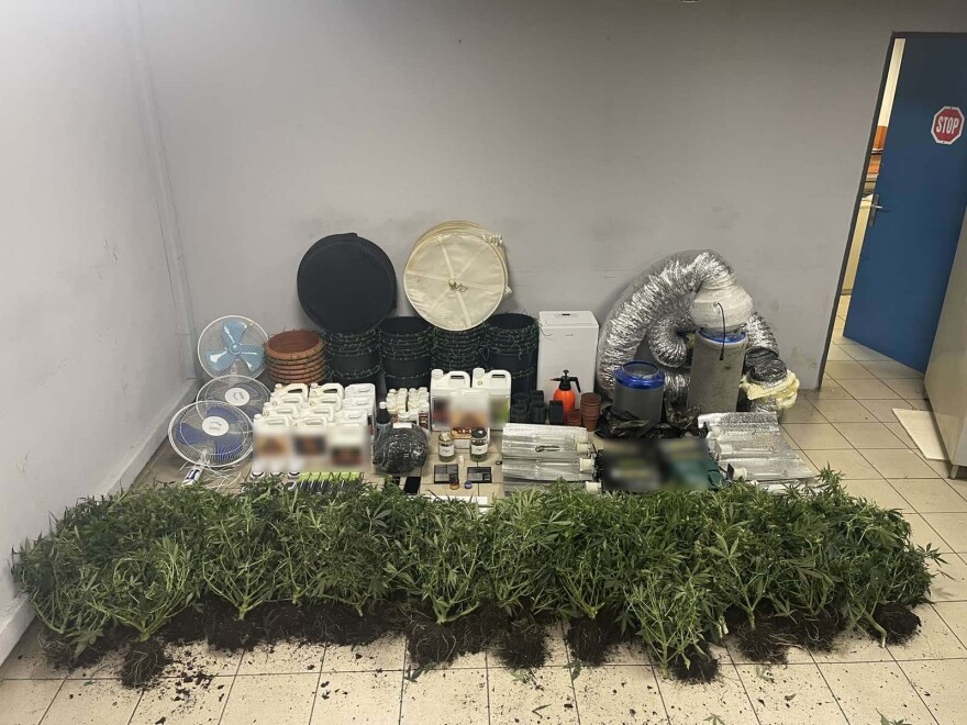 Θεσσαλονίκη: Συνελήφθη 32χρονος που καλλιεργούσε δενδρύλλια κάνναβης σε γλάστρες